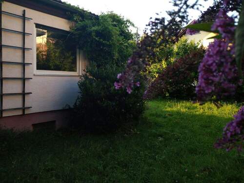 Der Garten ist ... - 6 Zimmer Einfamilienhaus in Wiesloch-Baiertal