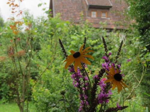 ... etwas verwildert aber bunt - Einfamilienhaus mit 118,00 m&sup2; in Wiesloch-Baiertal zum Kaufen