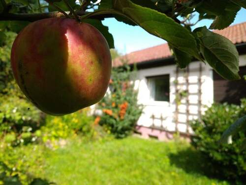 Und wer erntet nächstes Jahr? - 
