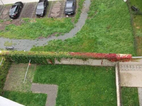 Bild 13 - 