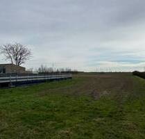 +++ Großes Baugrundstück in Nempitz +++ - Bad Dürrenberg