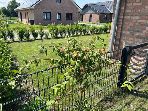 Gepflegte Nachbarschaft - 