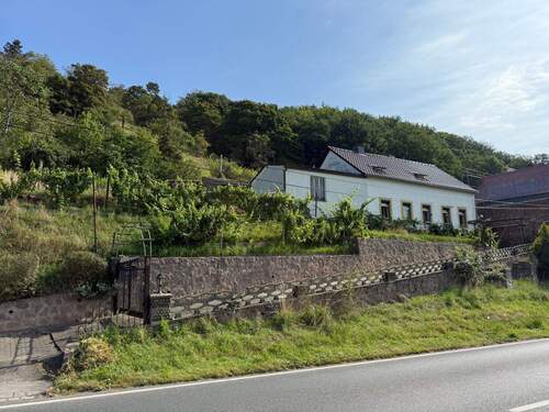 Bild 1 - Großzügiges Hanggrundstück mit Altbestand und herrlichem Elbe Blick