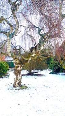 Bild 4 - Mehrfamilienhaus, Wohnhaus mit 140,00 m&sup2; in Bremerhaven zum Kaufen