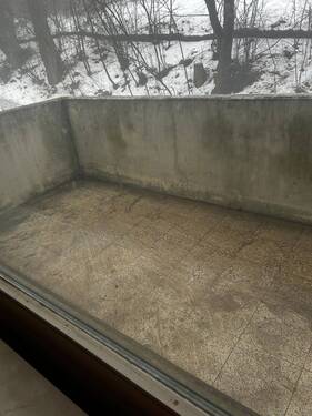 IMG_1721.jpeg - 