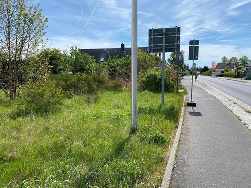 Grundstück mit Straßenansicht - Grundstück zum Kaufen in Rothenburg