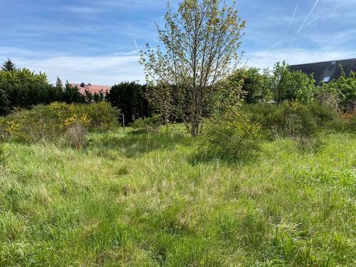 Grundstück - Grundstück in Rothenburg