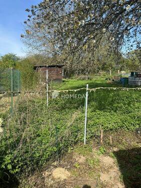 IMG_5562 - 8 Zimmer Mehrfamilienhaus, Wohnhaus zum Kaufen in Ober-Ramstadt (Wembach)