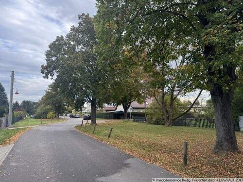 befestigte Anliegerstraße - rechts liegt das Grundstück - Grundstück in Neuenhagen