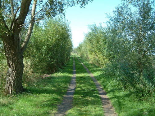 Wiesenweg zum Boddenhafen - 