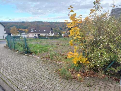1000050597 - Grundstück zum Kaufen in Betzdorf