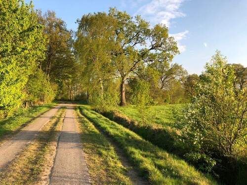Natur in unmittelbarer Umgebung - 