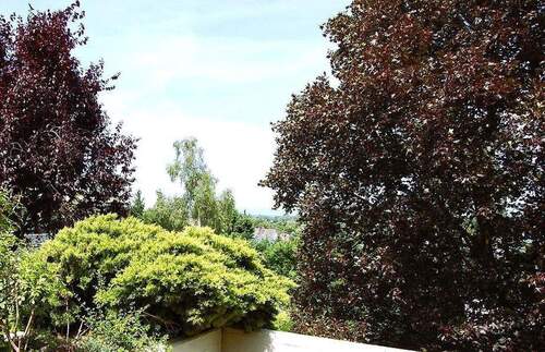 Südwest-Ausblick Titel - Repräsentative Terrassenwohnung in repräsentativer und gepflegter Liegenschaft - Barrierefrei !!