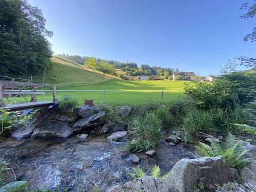 Bild 1 - Ein- bis Zweifamilienhaus im Grünen