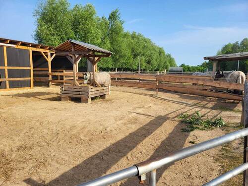 Stall - 