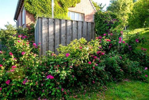Zauberhaft - 