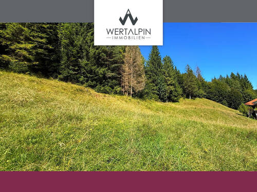 Weitläufiges Grundstück mit Altbestand - Wallgau: Grundstück - ca. 2.917 m² - mit Altbestand in naturnaher Lage mit hohem Freizeitwert!