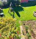Blick in den Garten - 
