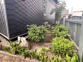 kleiner Vorgarten - 