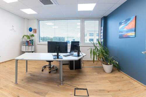 lichtdurchflutete Büros - Einfamilienhaus in Schloß Holte-Stukenbrock zum Kaufen