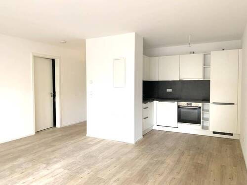 Wphn-/Küchenbereich - 2 Zimmer Etagenwohnung in Fürth