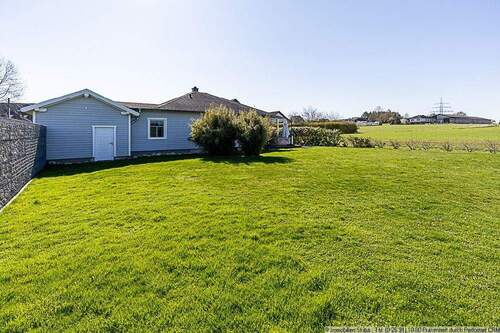 nur ein direkter Nachbar - 