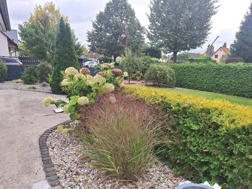 Auf dem Grundstück - Einfamilienhaus mit 108,00 m² in Woltersdorf zum Kaufen