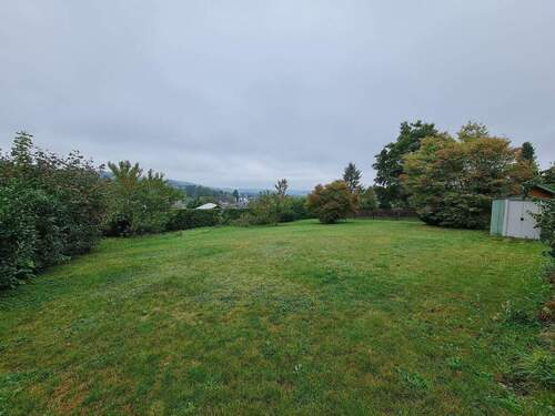 20250927_113208.jpg - 