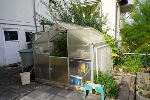 Gewächshaus - 