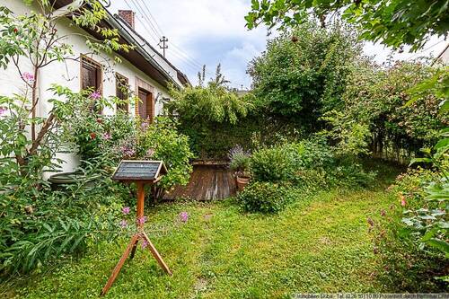 Wohnung - Garten - 