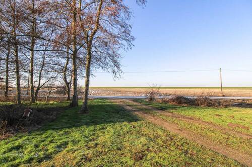 Blick zum Deich - 
