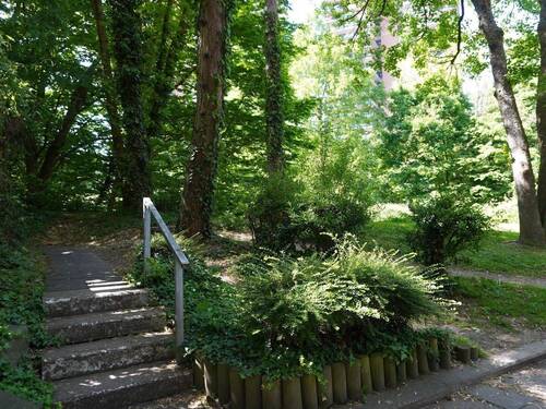 Außenanalge/Park - 