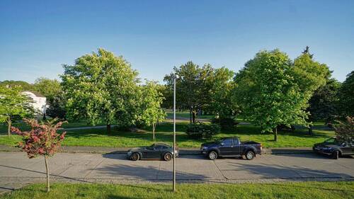 Ausblick zur Straße - 