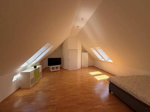Studio: Jung. Modern. Trendig. - 