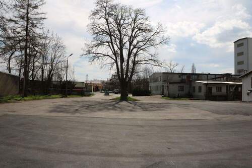 Blick auf Grundstückseinfahrt - 