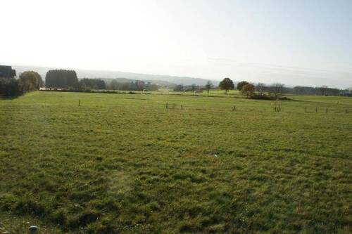 Bild 2 - Grundstück zum Kaufen in Malberg