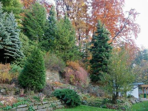 Blick auf den Hang (2) - 