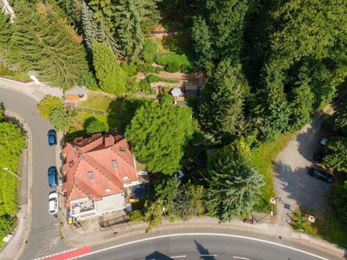 Blick auf den Hang (3) - 