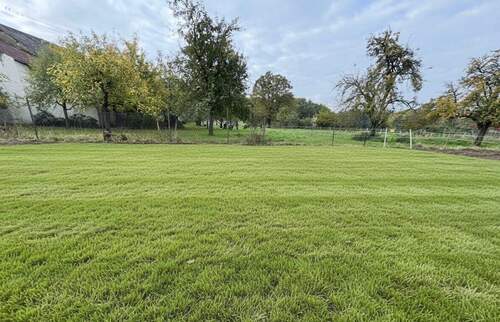 IMG_6247.jpg - Etagenwohnung mit 90,00 m² in Perl zur Miete