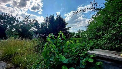 Blick nach Nord-Westen - 