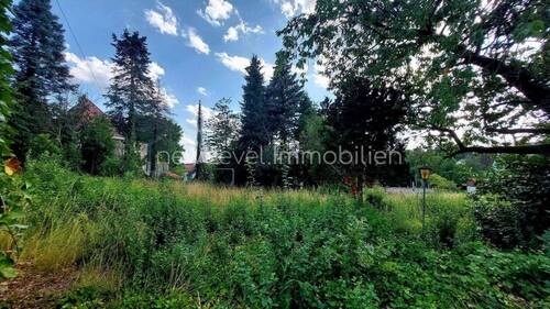 Blick nach Westen - 