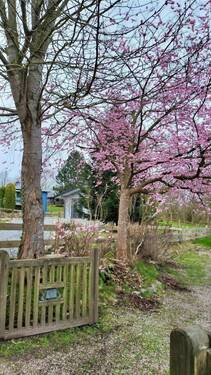 IMG-20240321-WA0025 - 