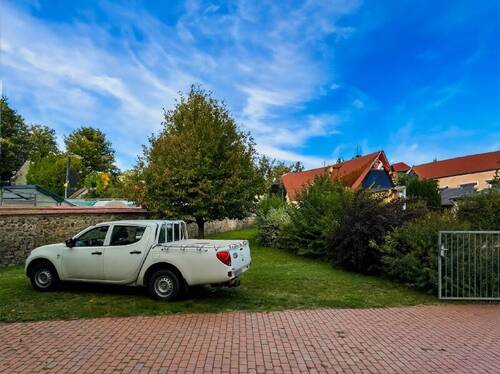 Garten vorm Nordflügel (2) - 