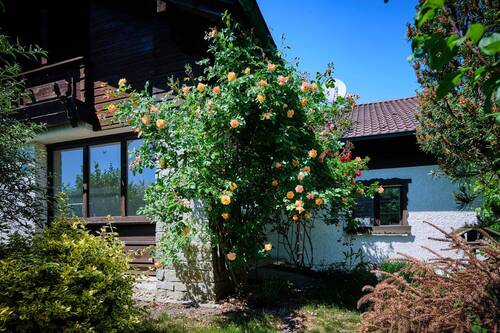 Terrasse - 