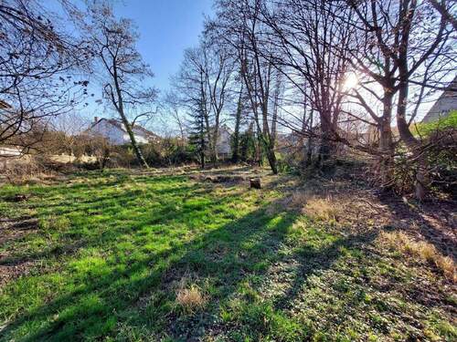 großes Grundstück - Grundstück in Schallstadt-Mengen