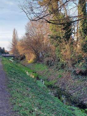 direkt am Dorfbach - Grundstück in Schallstadt