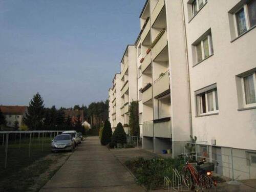 hinter dem Haus - 