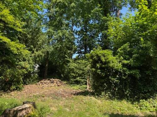 ein wahrlich schönes Fleckchen Erde - Rarität: Baulücke in Machern - 185.000,00 EUR Kaufpreis, ca.  0,00 m²