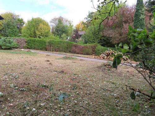 Grundstück von vorne links - 