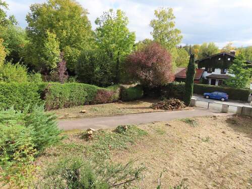 östlicher Teil vom Baugrund - 